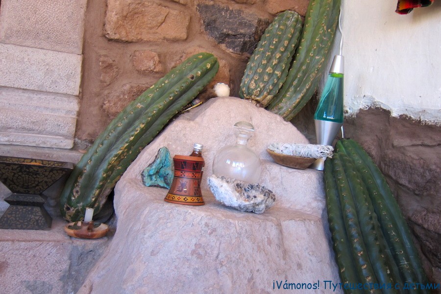 сан педро напиток приготовить. Смотреть фото сан педро напиток приготовить. Смотреть картинку сан педро напиток приготовить. Картинка про сан педро напиток приготовить. Фото сан педро напиток приготовить сан педро напиток приготовить. Смотреть фото сан педро напиток приготовить. Смотреть картинку сан педро напиток приготовить. Картинка про сан педро напиток приготовить. Фото сан педро напиток приготовить