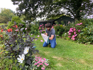 man in garden looking at insect tent