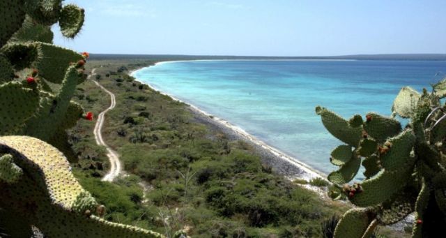 phpThumb_generated_thumbnail