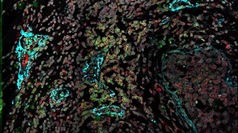 Polyak Lab Github - Space Pictures - Creative Desktop Collection