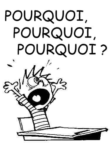 comment-convaincre-5-pourquoi.jpg