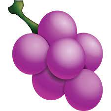 genre des noms en espagnol et en français uva raisin grape