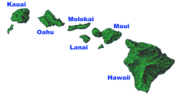 Hawaiian hospitality has a reputation based in island culture, and these resorts e. Meanings Of The Island Names The Polynesian Hostel Beach Club