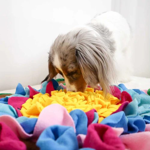 Flower coloured snuffle mat