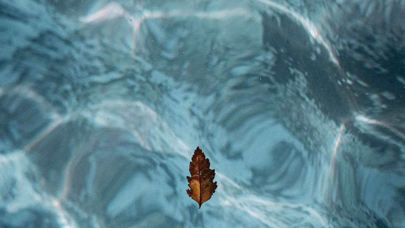 A single autumn leaf floating on rippled blue pool water