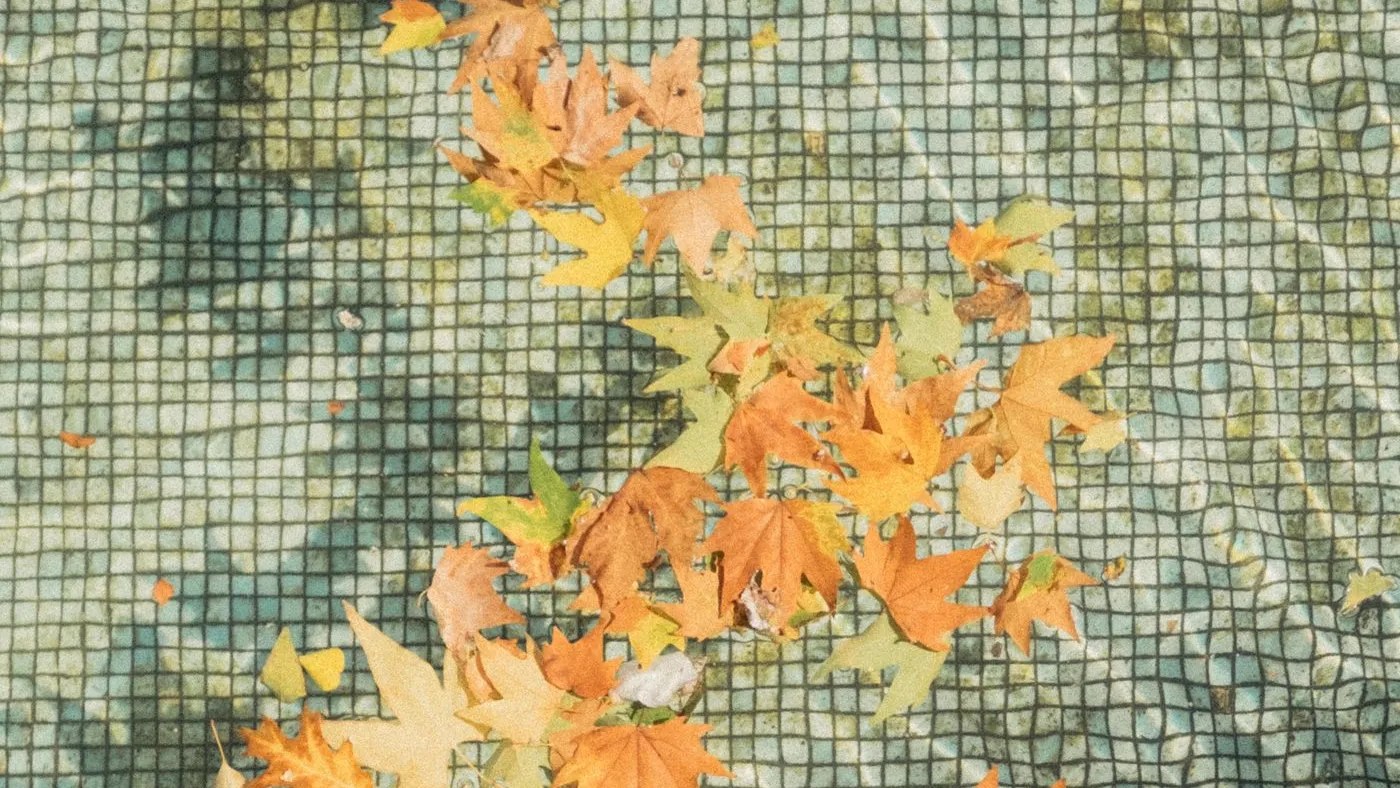 Autumn leaves floating on a mesh pool cover