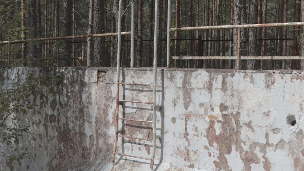 Aged empty concrete pool with weathered plaster and ladder