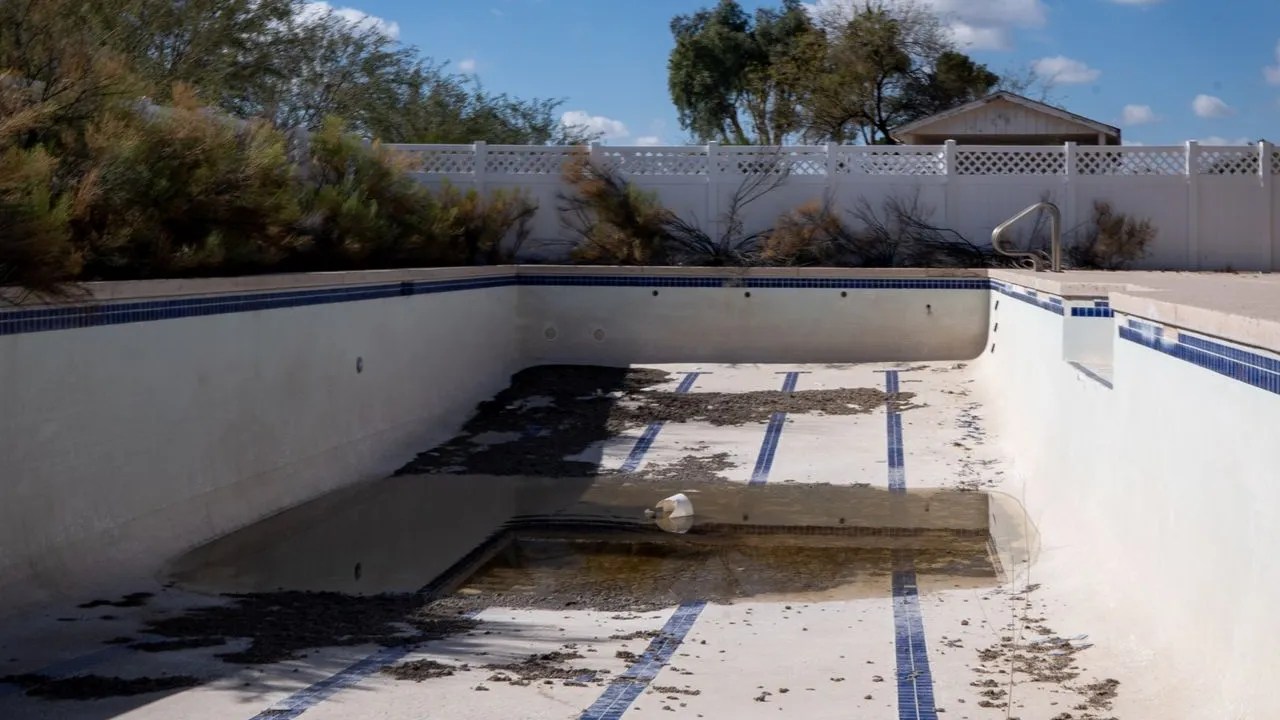 Drained inground pool in a backyard awaiting renovation