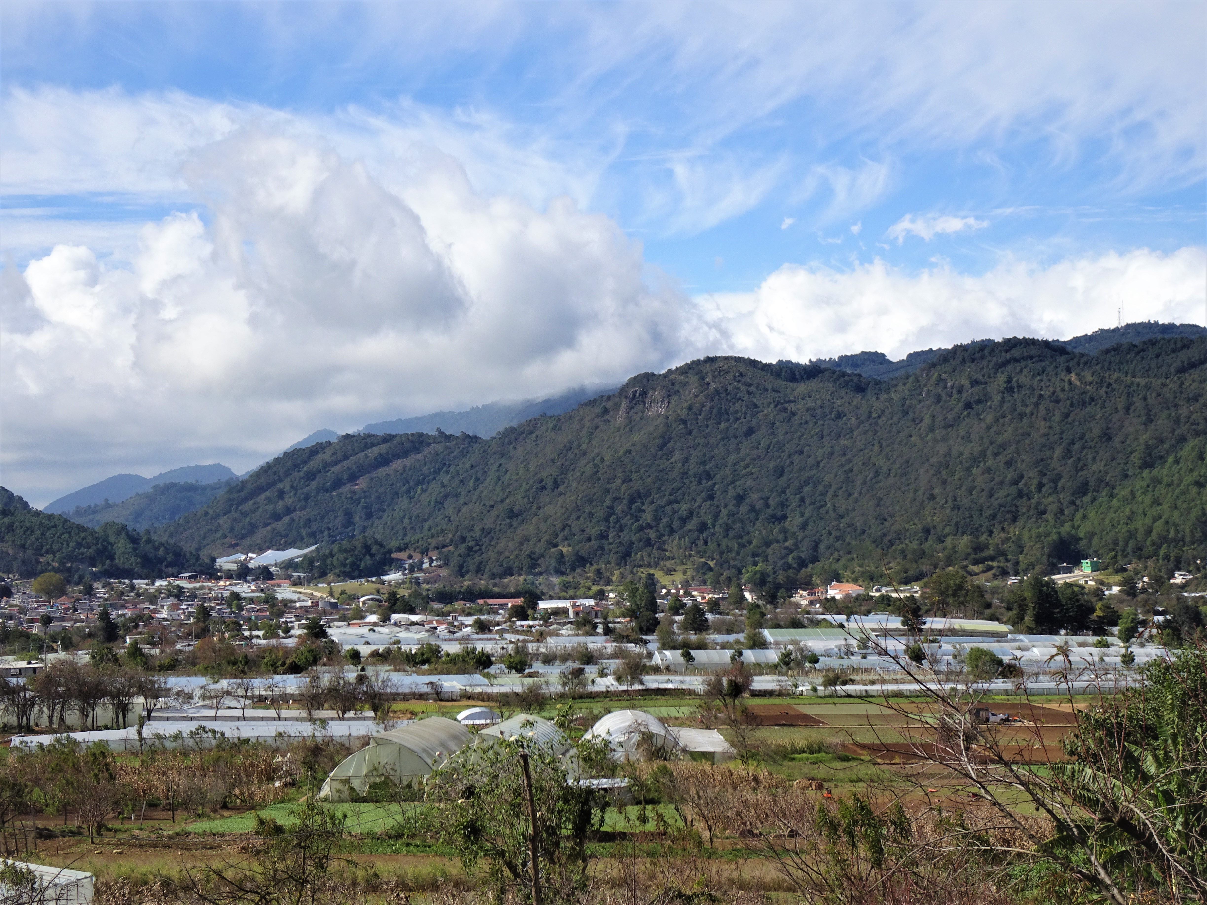 Indigenous Village Zinacantan where they have green houses for flowers.