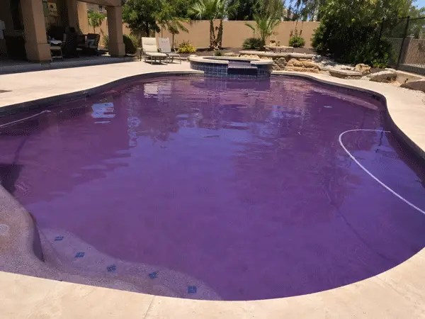 purple pool