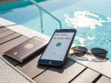 Vacation Pool Prep Checklist Avoiding The Green Nightmare That Awaits
