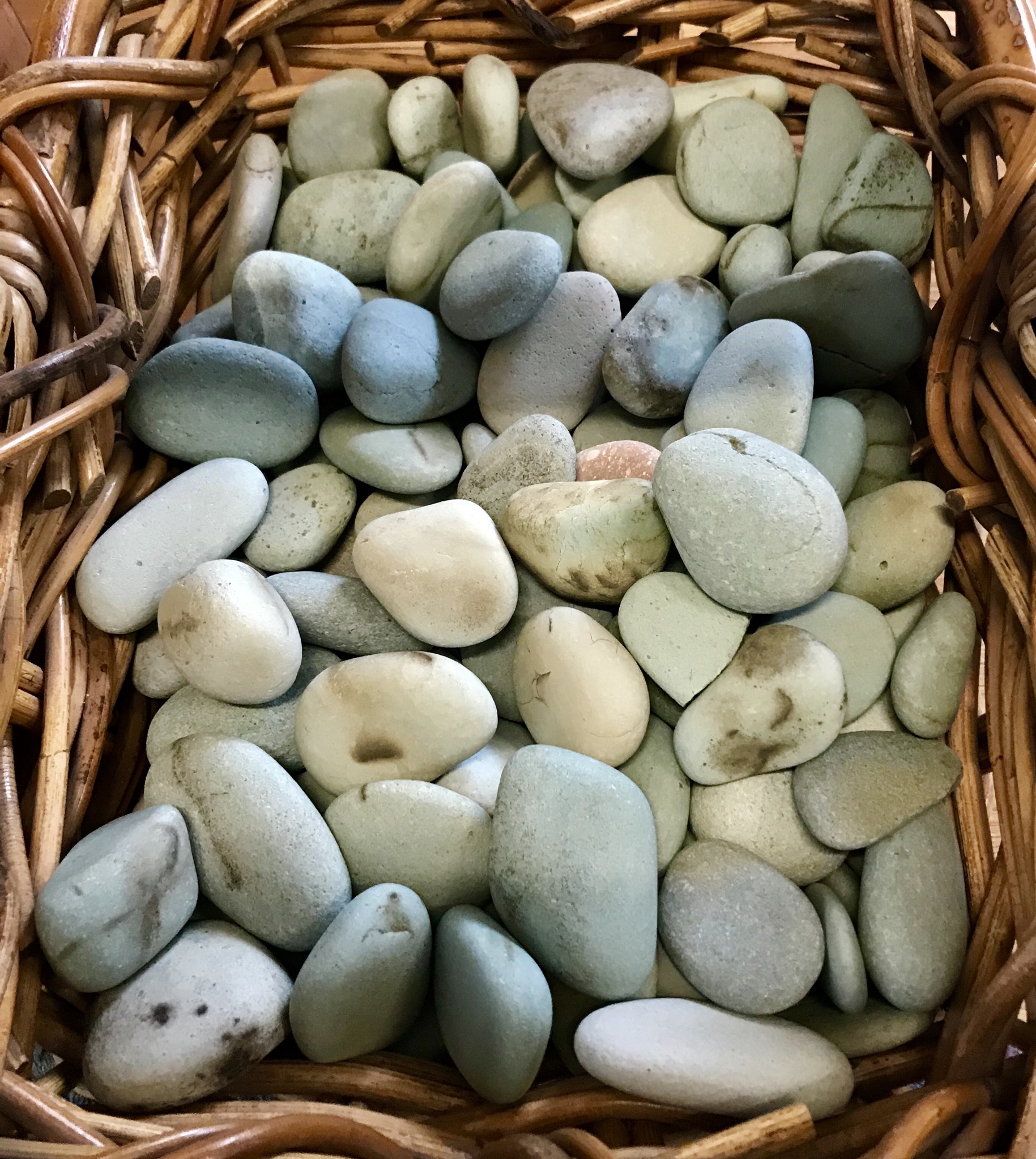 A5EB9BBD-9D9B-42DE-9618-A8510C7B68CA