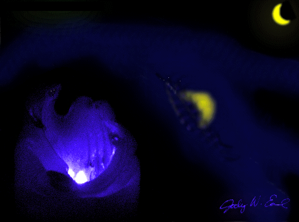 This is actually a photograph of a candle that part of struck me as looking like a monkey staring into a volcano. I added the moon/reflection and doctored what looked a bit like a gator digitally, and maybe the monkey's eyes.