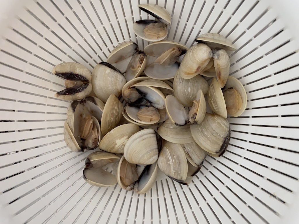 PopsicleSociety-Cacciucco-fish soup_7811D