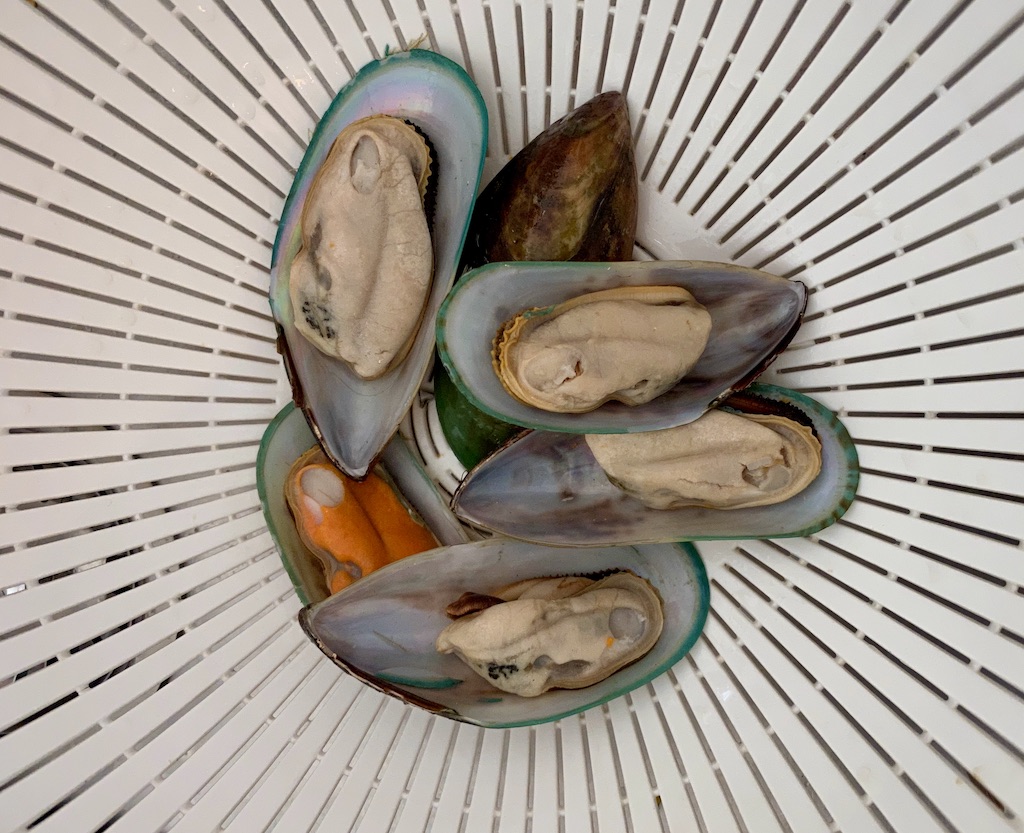 PopsicleSociety-Cacciucco-fish soup_7812D