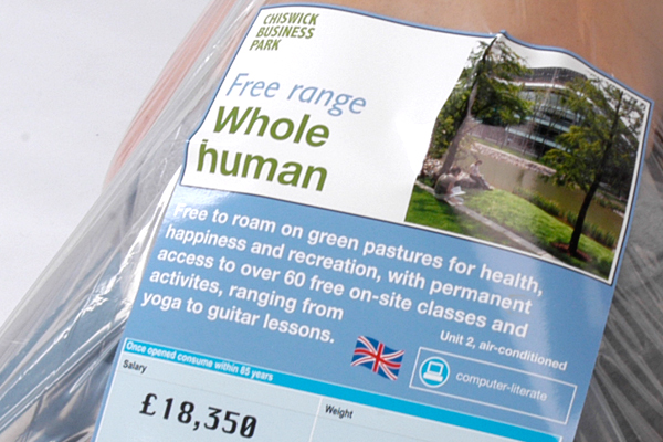 Тебе повезло? ты не такой как все, ты работаешь в офисе