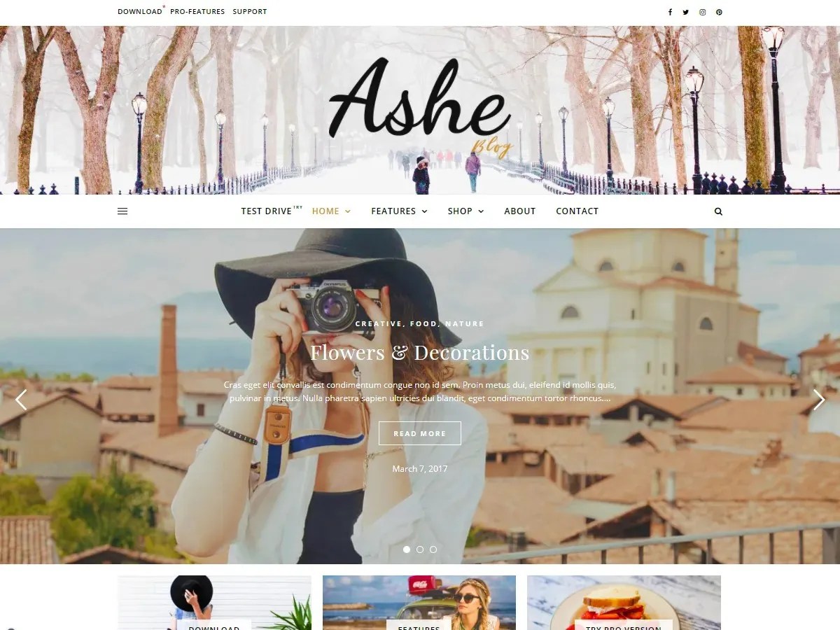 Ashe-WordPress-theme