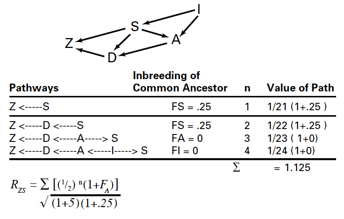 Inbreeding in Swine Pork Information Gateway