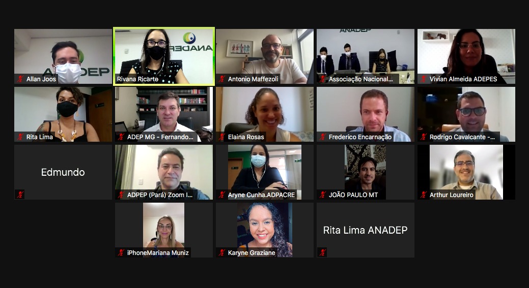 Read more about the article Presidente da ADPEP participa de reunião da ANADEP que discute agenda de trabalho