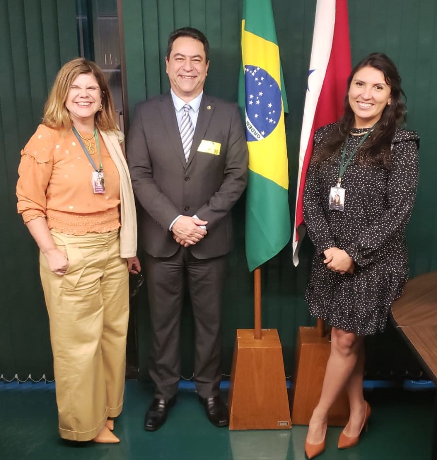 Read more about the article ADPEP encerra agenda de encontros em Brasília