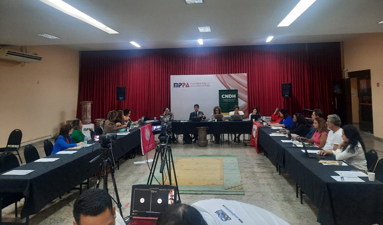 Read more about the article ADPEP participa da 71° Reunião Ordinária do Conselho Nacional dos Direitos Humanos