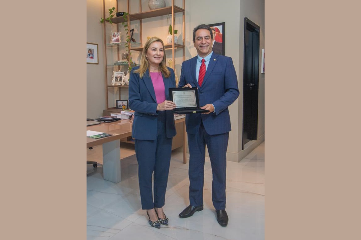 Read more about the article ADPEP é recebida pela vice Governadora do Estado do Pará, Hana Ghassan Tuma