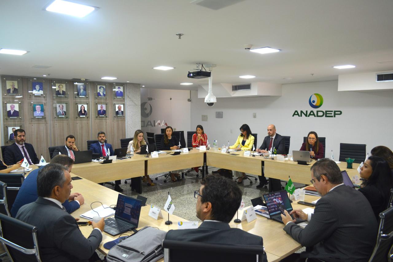 You are currently viewing Adpep participa de  assembleia geral extraordinária da Anadep, em Brasília-DF