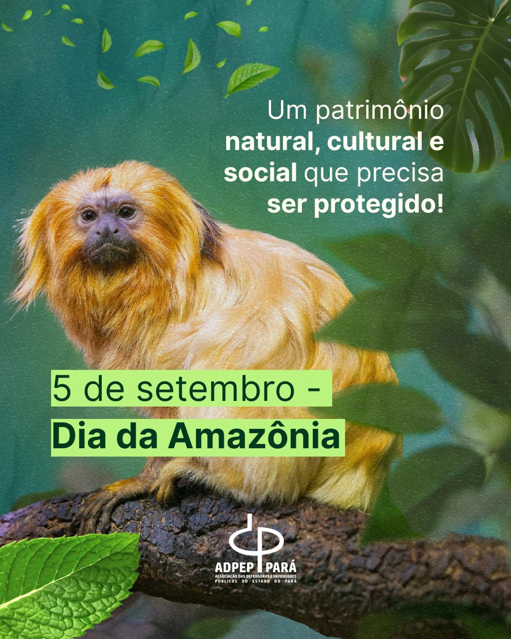 Read more about the article 5 de setembro – Dia da Amazônia