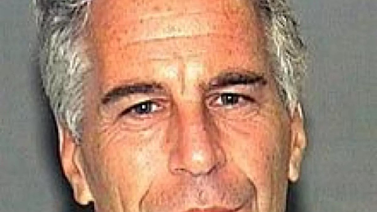 https://commons.wikimedia.org/wiki/File:Jeffrey_Epstein_mug_shot.jpg