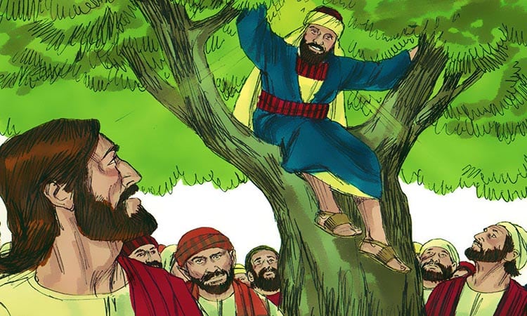 11 lecciones aprendidas de zaqueo en la biblia