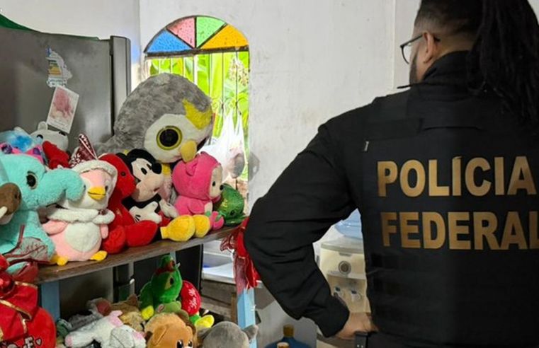 Operação contra abuso de criança e adolescente prende 55 pessoas