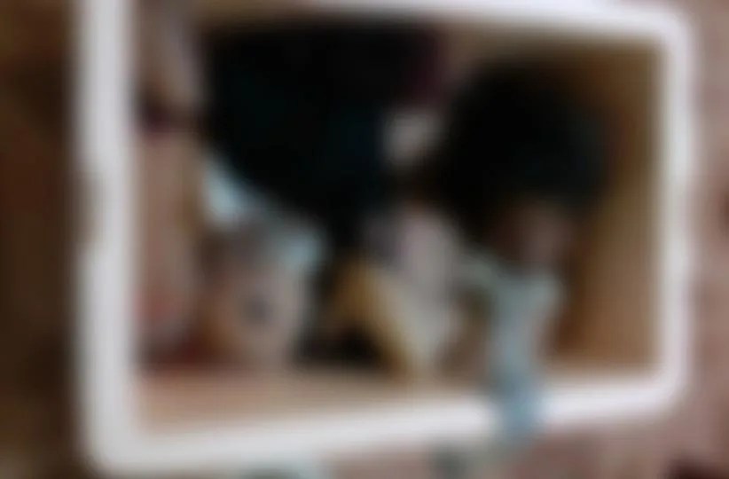 Corpo de mulher esquartejado é encontrado em caixa de isopor no AM