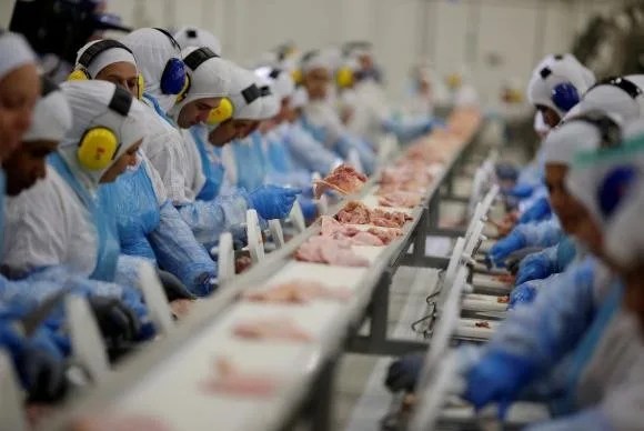 Filipinas proíbe frango do Brasil após alerta da China