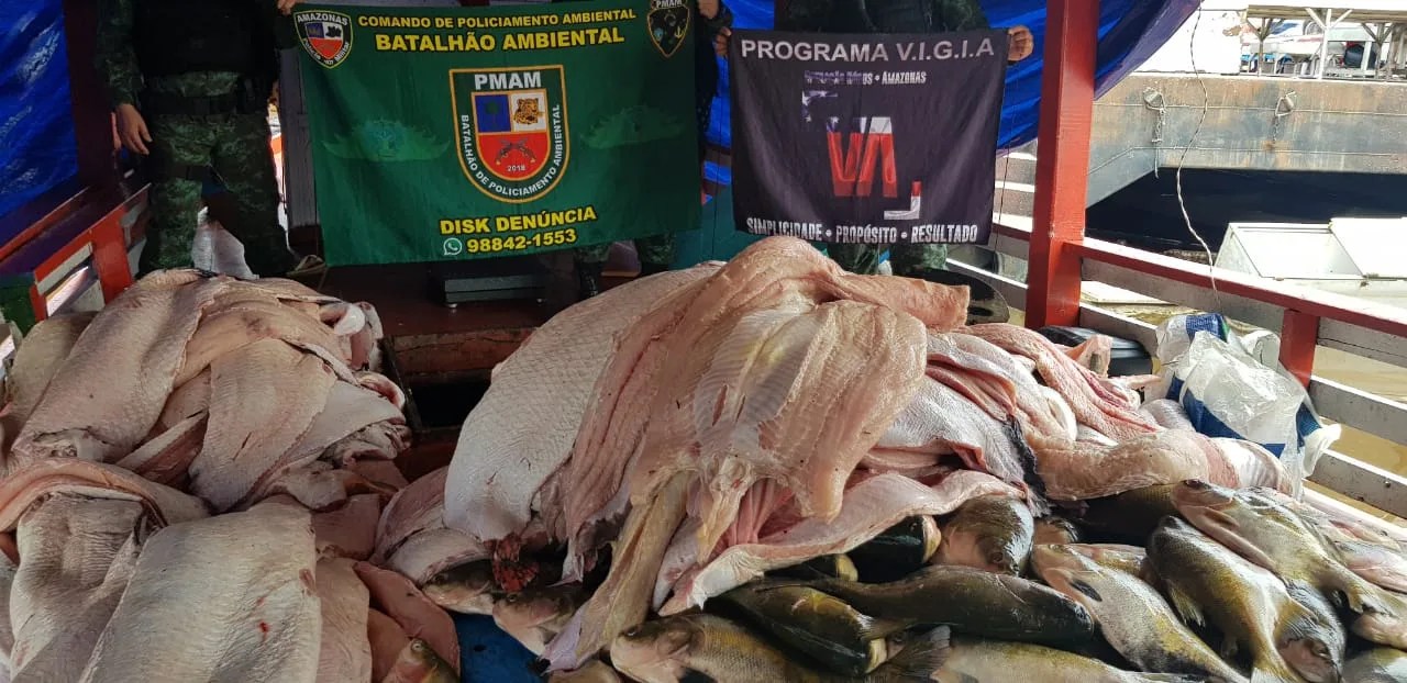 1,7 tonelada de pescado ilegal é apreendido na zona sul de Manaus