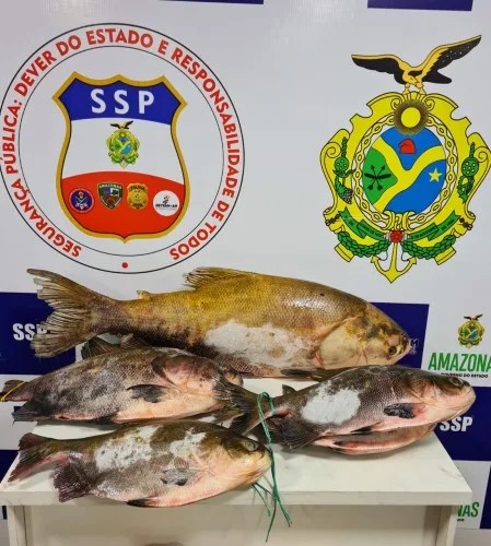 Base Arpão apreende 131 quilos de pescado ilegal em embarcação no AM