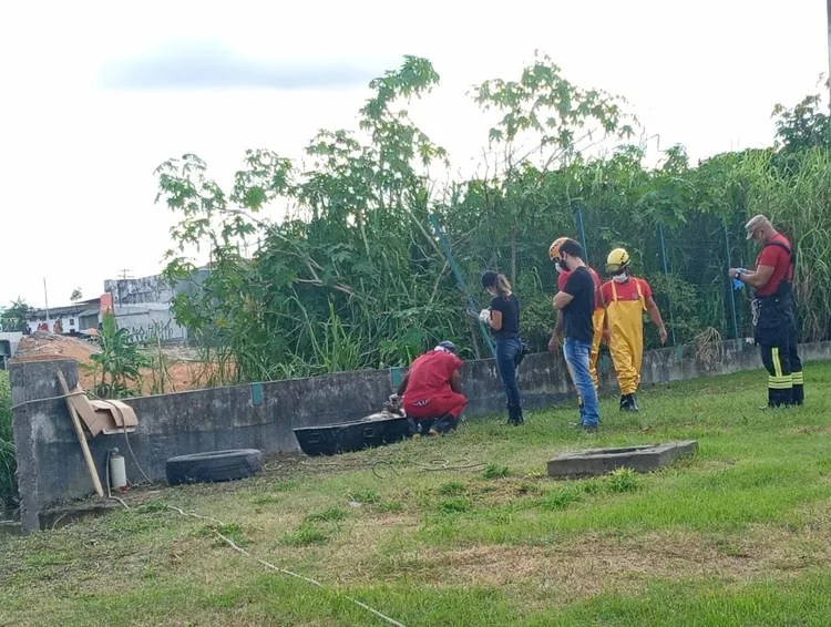 Corpo sem cabeça é encontrado em igarapé no Novo Aleixo