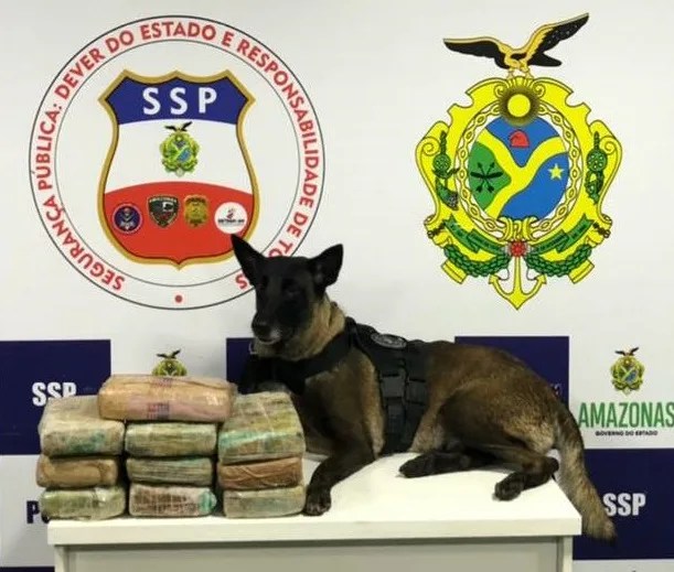 Polícia apreende 10 kg de drogas em caixa d’água de barco no Amazonas