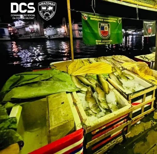 Operação ‘Horus’ apreende 1,5 tonelada de pescado ilegal em balsa
