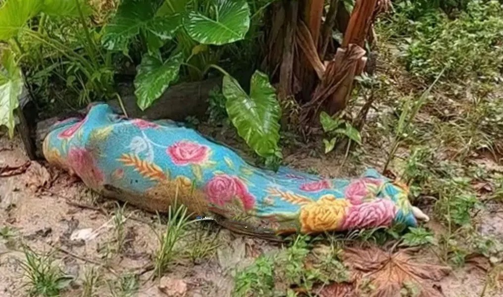 Casal é preso suspeito de assassinar mulher na zona Leste de Manaus