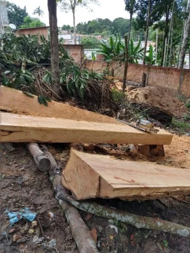 Homem é preso por crime ambiental na zona Norte de Manaus