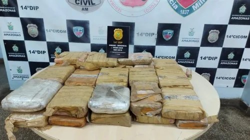Polícia Civil do AM apreende 33 tabletes de maconha do tipo skunk no bairro Gilberto Mestrinho