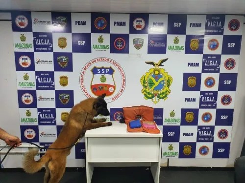 Base Arpão apreende dois quilos de drogas em colete salva-vidas de embarcação