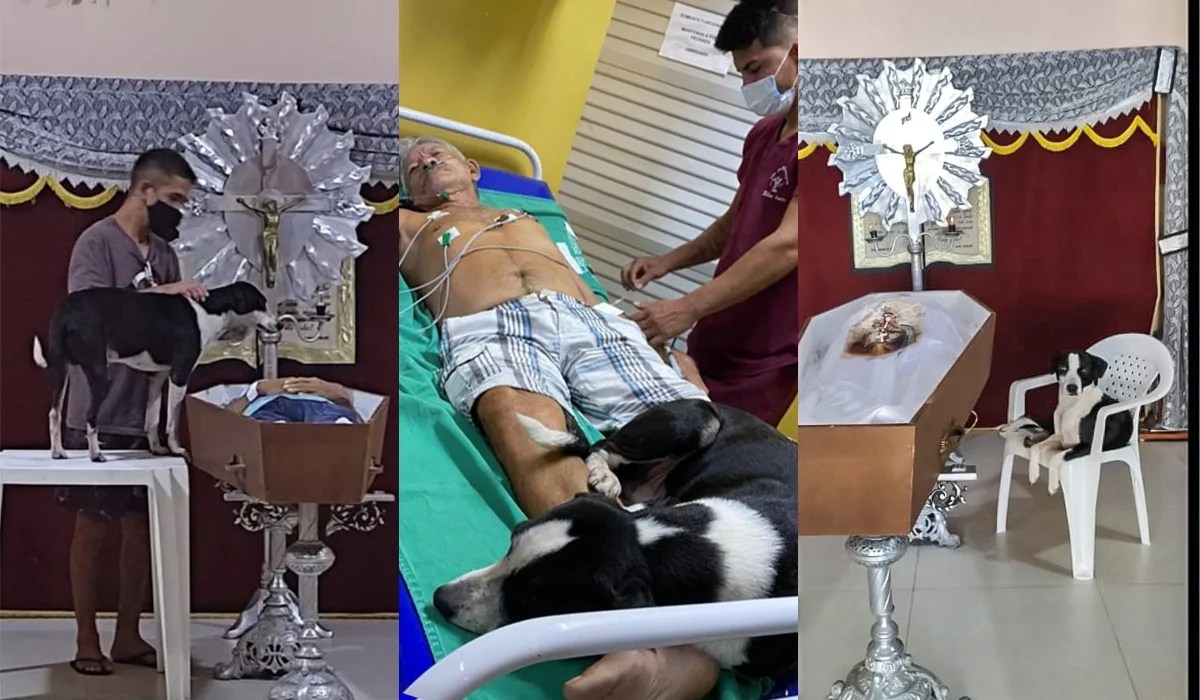 AMIGO FIEL: Após acompanhar em hospital, cão vela dono em funerária do AM