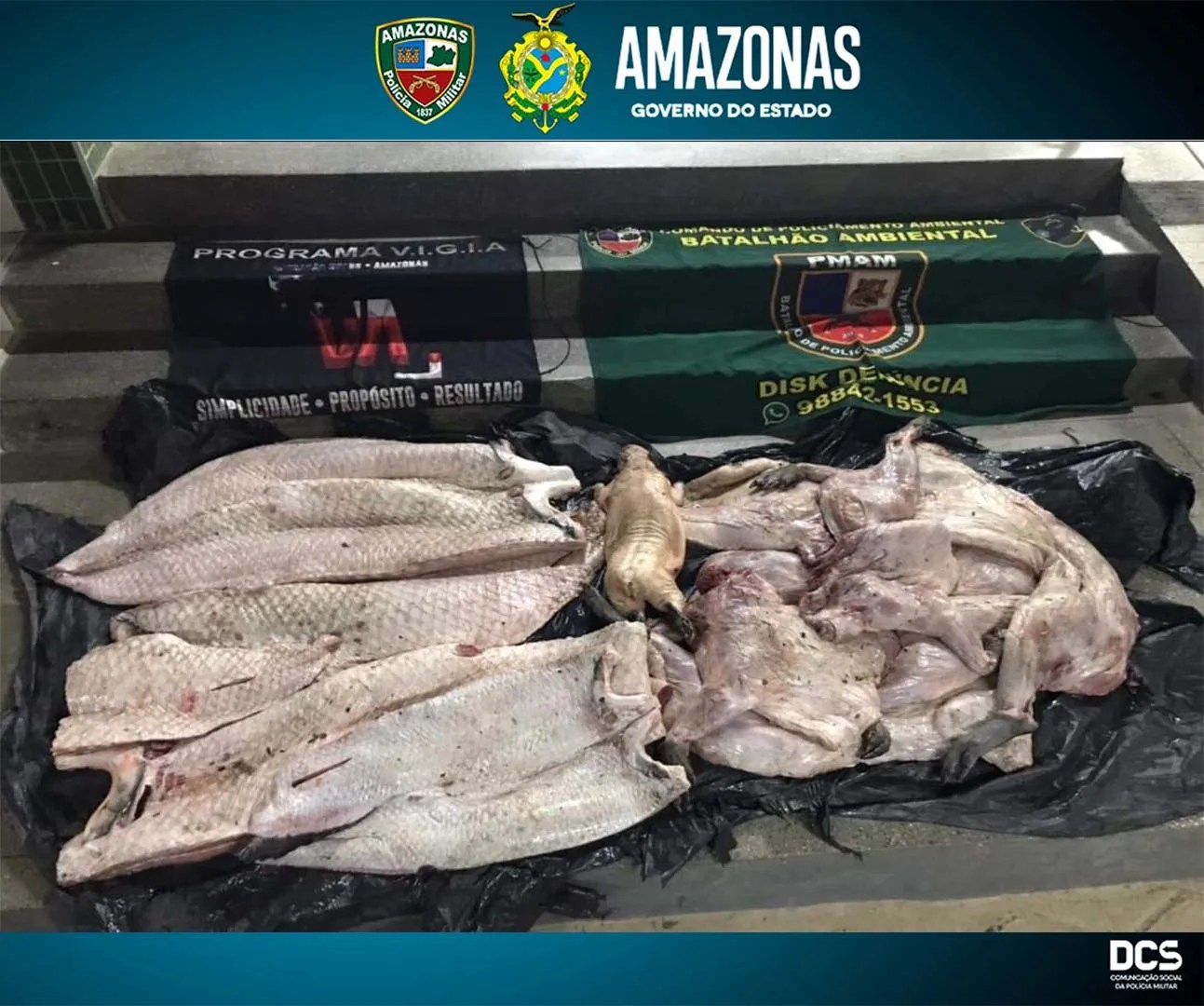 PM apreende mais de 600 quilos de pescado e carne de animais silvestres em embarcações na capital