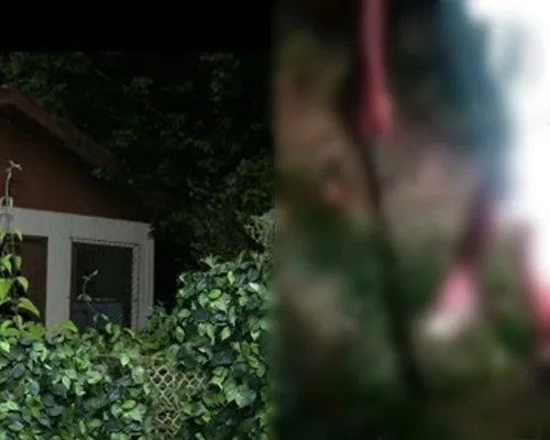VÍDEO FORTE: Mulheres são decapitadas após denunciar traficantes