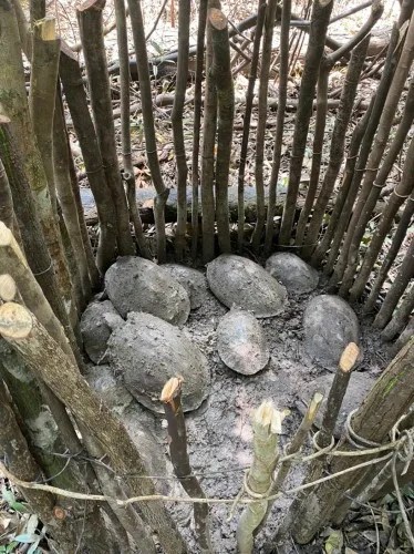 Motorista de Aplicativo é executado a tiros na zona Leste de Manaus