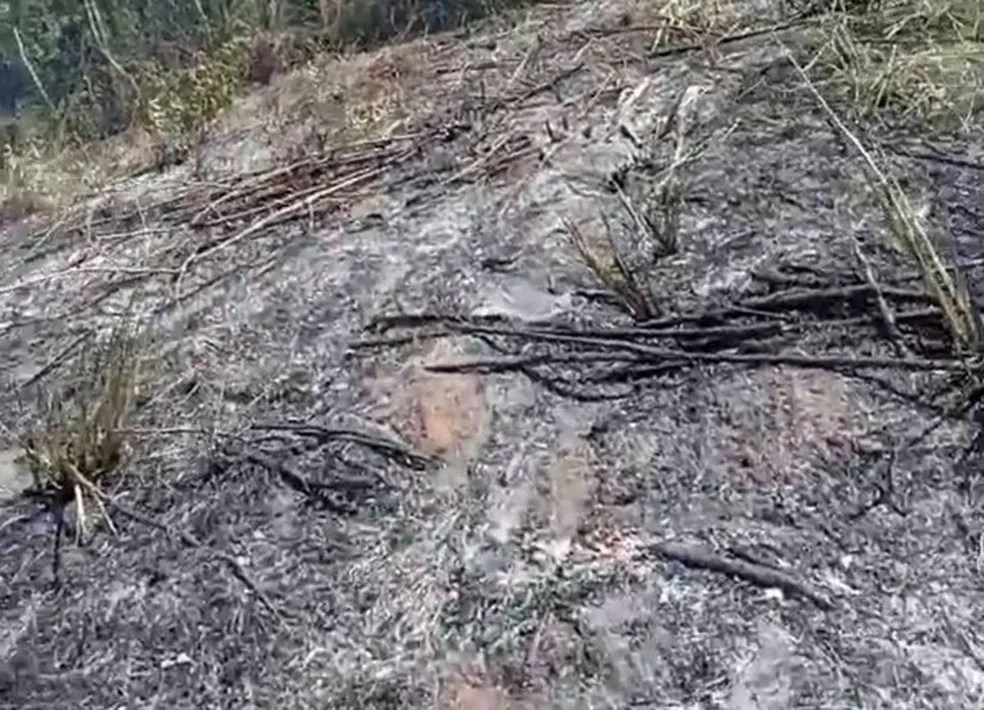 Idosa morre carbonizada ao queimar lixo no quintal de casa