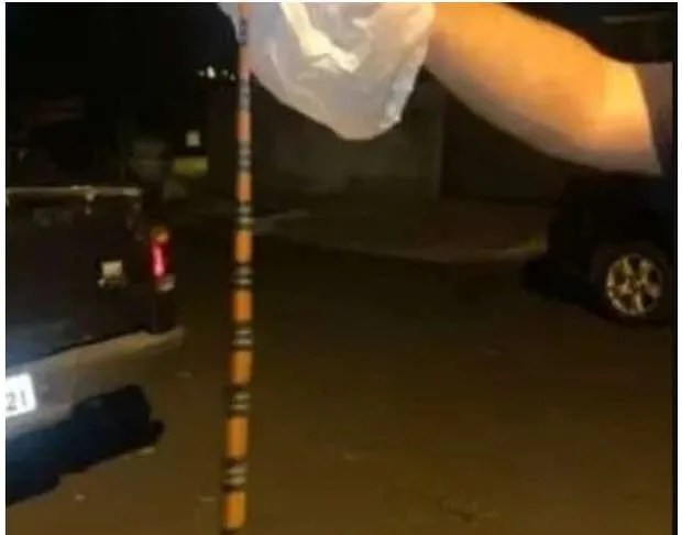 Bebê chora e pais o encontram enrolado por cobra coral