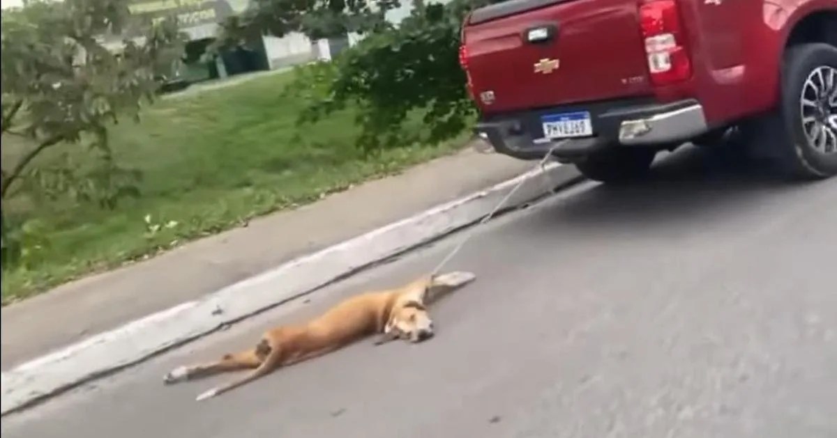 VÍDEO: Cachorro é amarrado e arrastado por caminhonete em Manaus