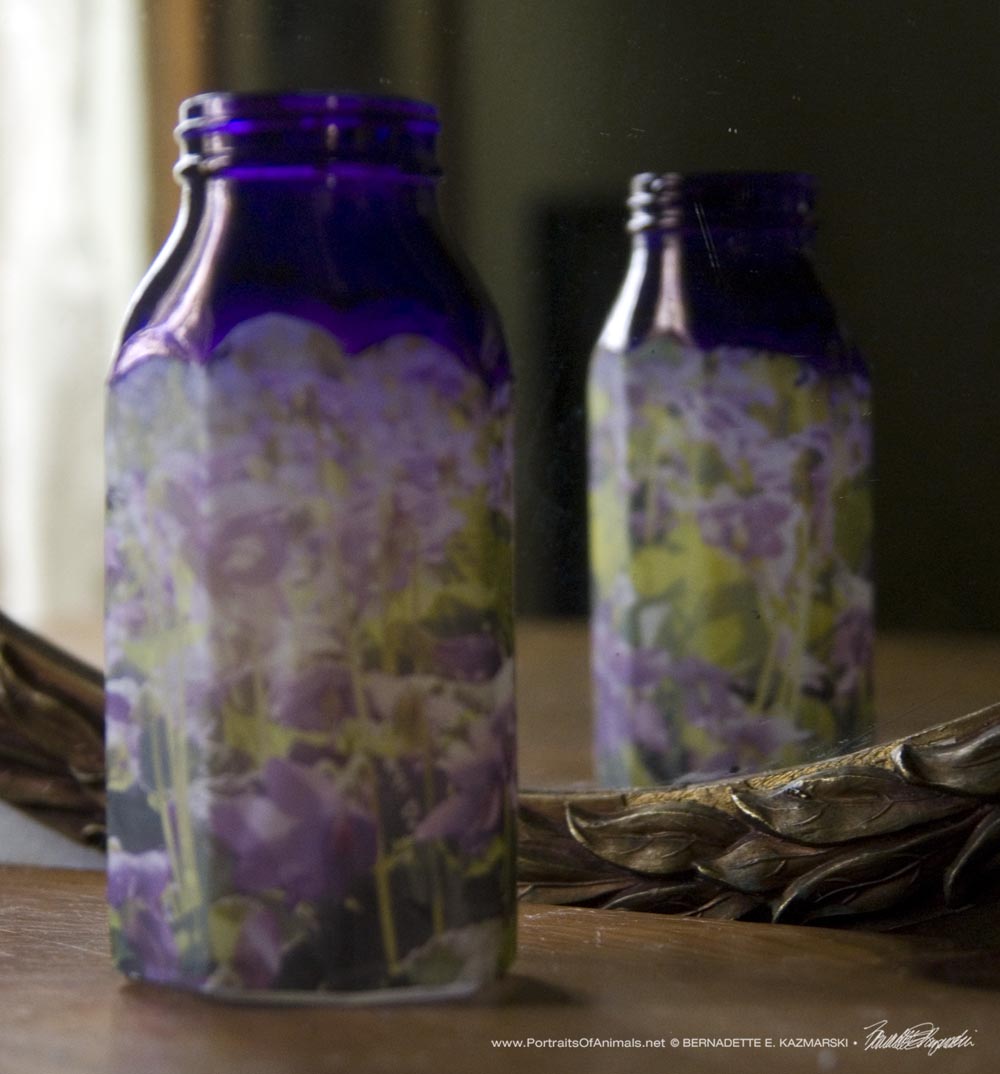 Violets Votive Portraits of Animals